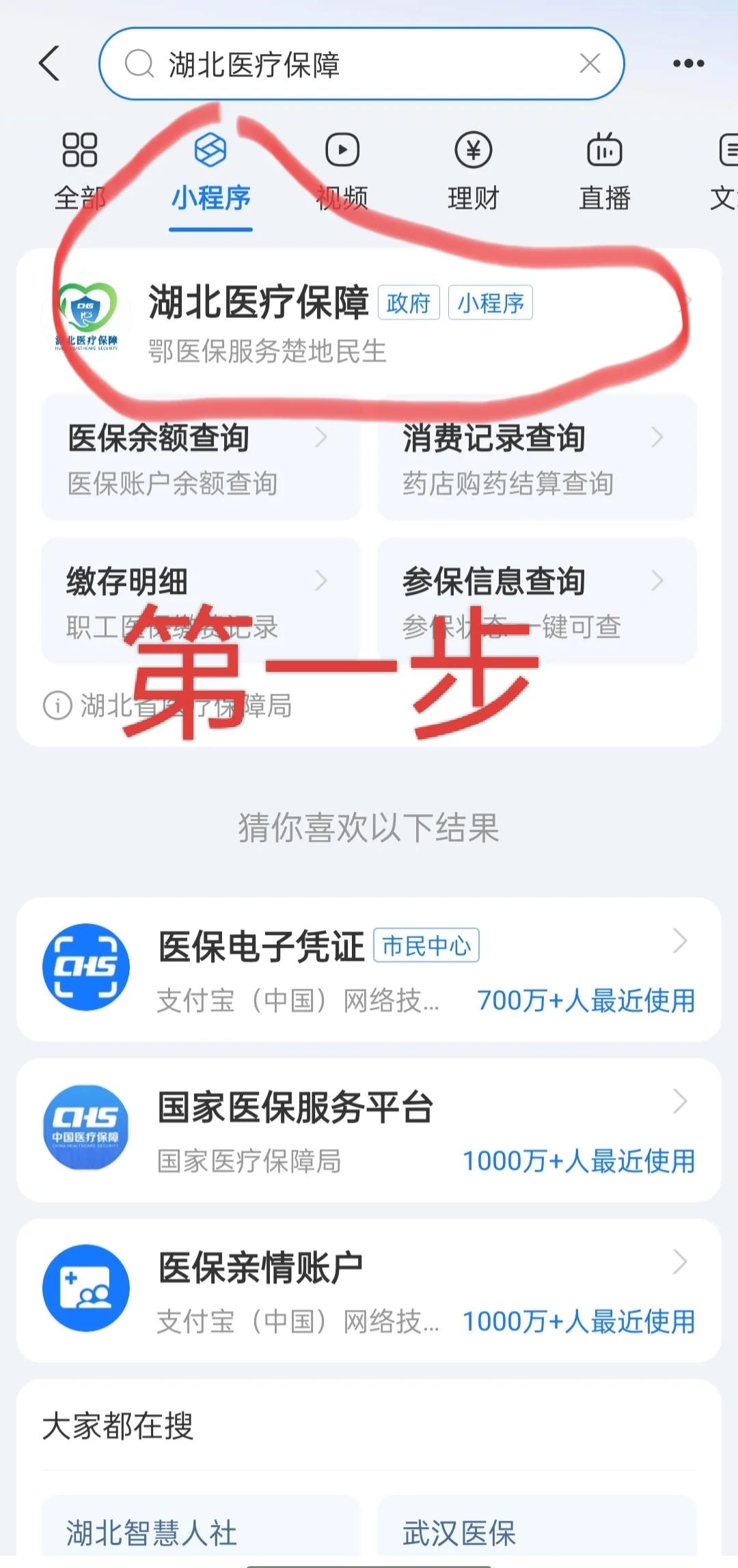 保山医保网上怎么缴费(孩子居民医保网上怎么缴费)